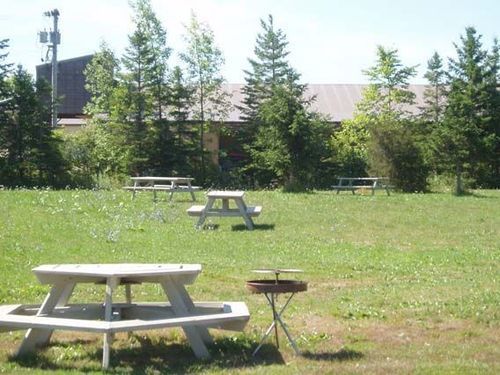 Wiarton Willy'S Inn Owen Sound Exterior foto